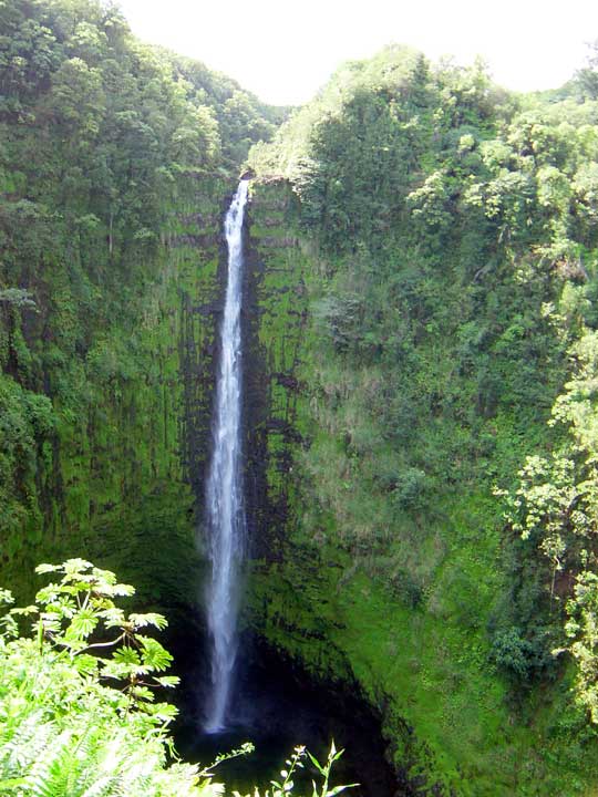 ハワイ島 アカカ滝 (Akaka Falls)