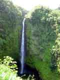 ハワイ島 アカカ滝
