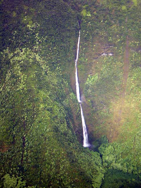 ハワイ島 ハワイ島 ワイマヌ渓谷(Waimanu Valley)の滝