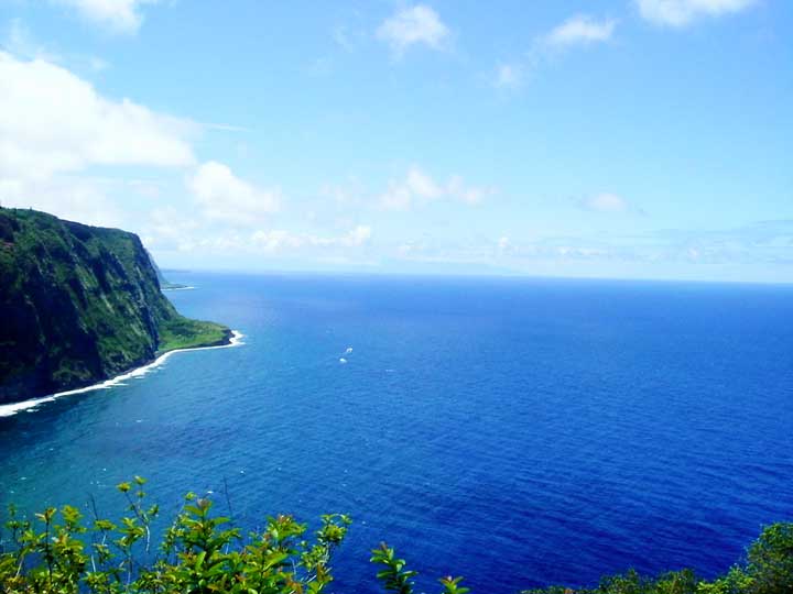 ϥ磻 磻ԥ(Waipio) ֳ